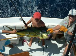 highli3 Fishing Impossible  38 Bertram